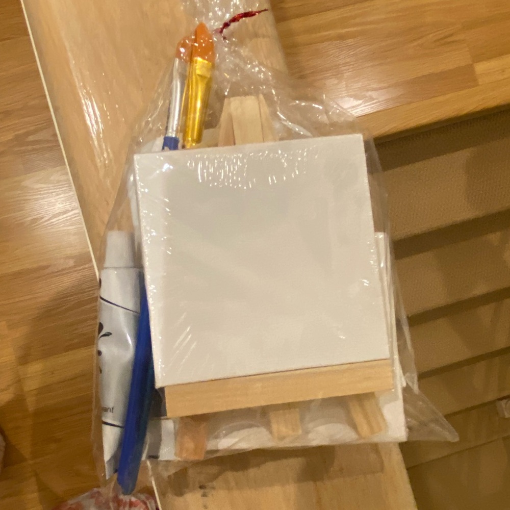 16 Mini Canvas and Easel Set with Brushes